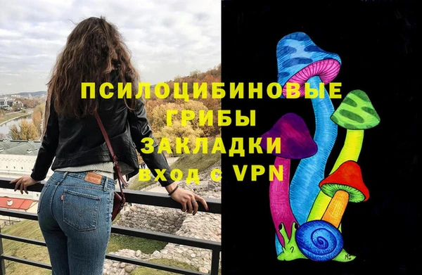 таблы Белокуриха