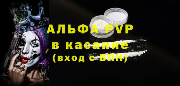 МДПВ Бородино