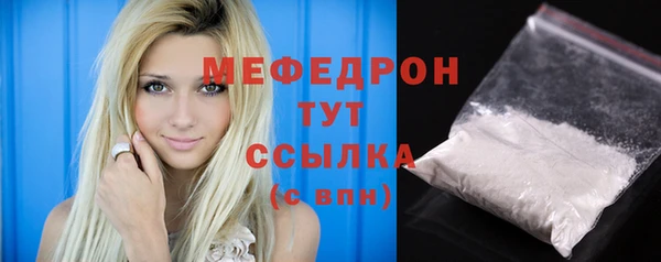 МДПВ Бородино
