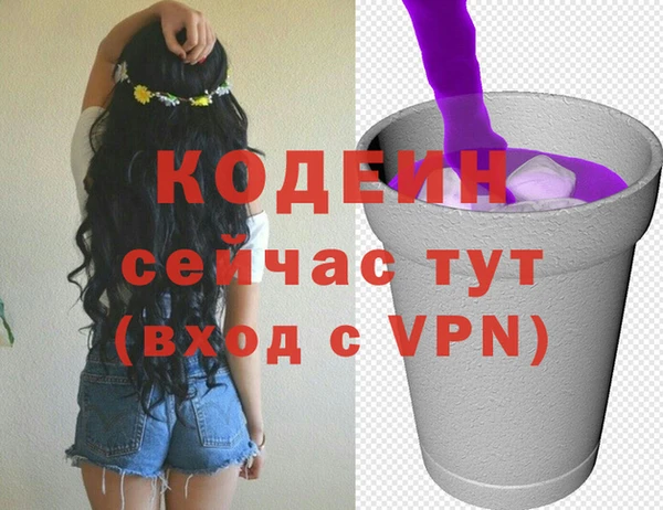 МДПВ Бородино
